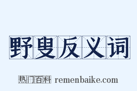 野叟反义词是什么意思的图片
